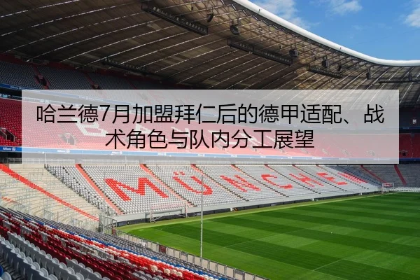 哈兰德7月加盟拜仁后的德甲适配、战术角色与队内分工展望