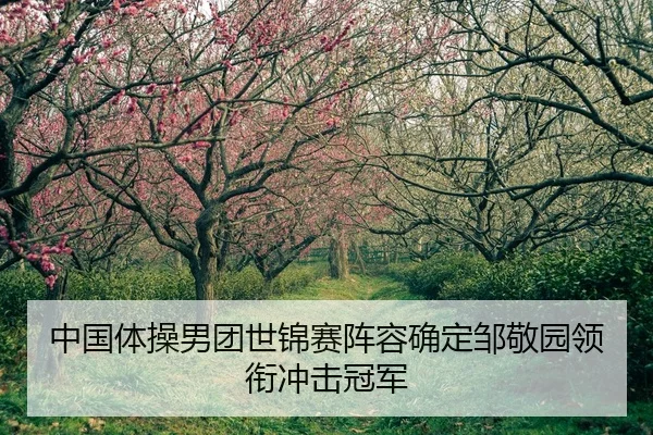 中国体操男团世锦赛阵容确定邹敬园领衔冲击冠军